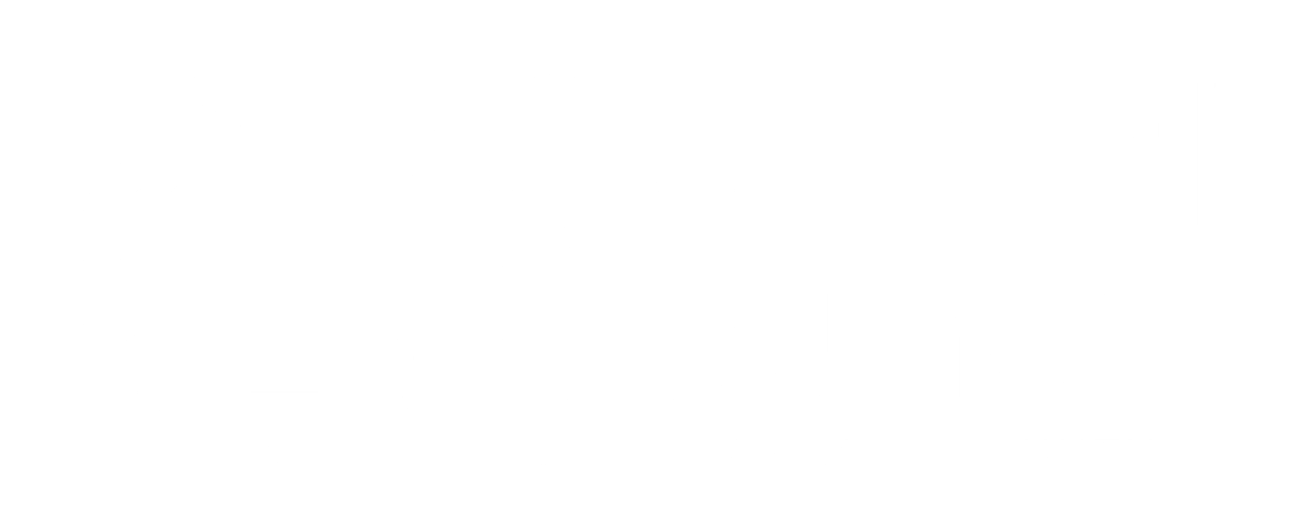 Dance theater of florida